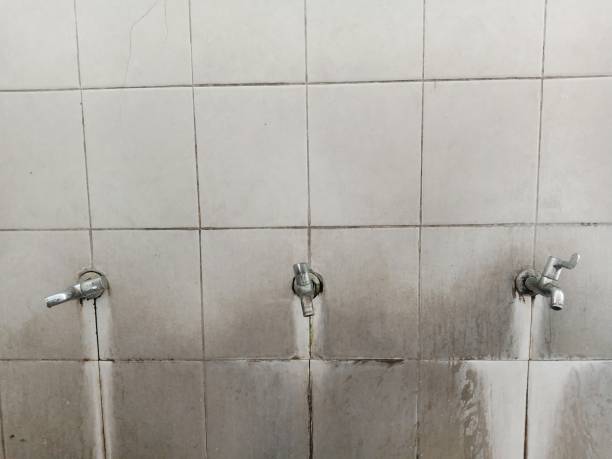 Best Water damage restoration services  in Mount Vernon, IA