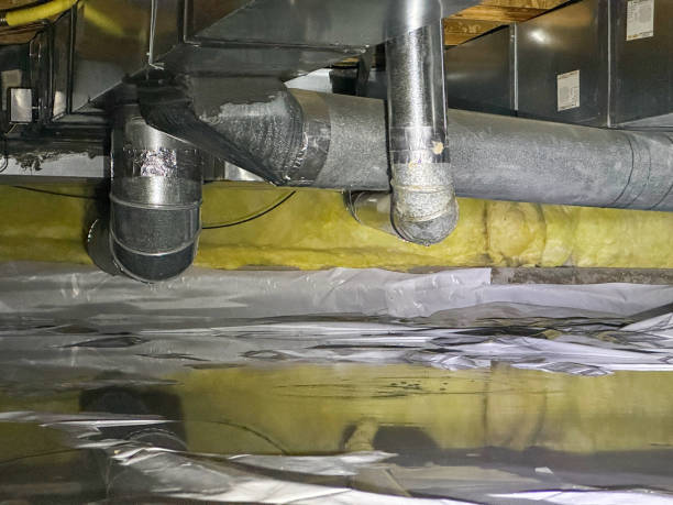 Best Water damage contractors near me  in Mount Vernon, IA